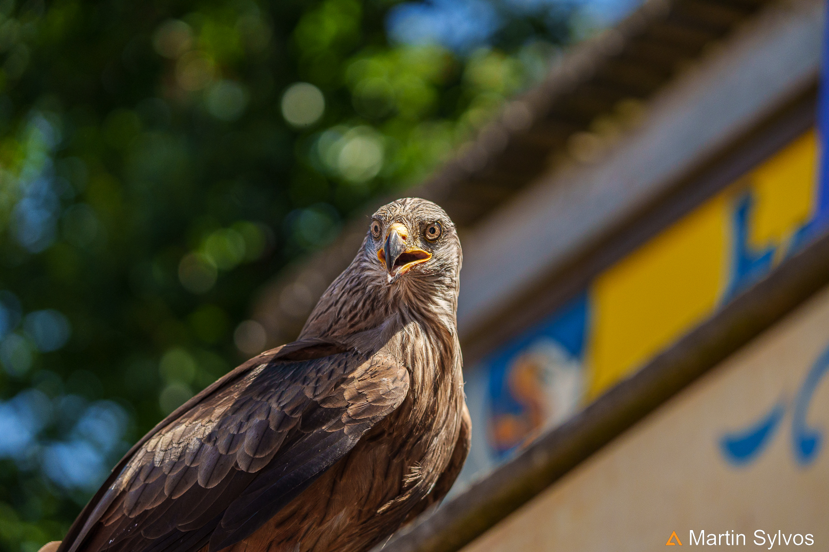 2022 Puy du fou   le bal des oiseaux fantome 4